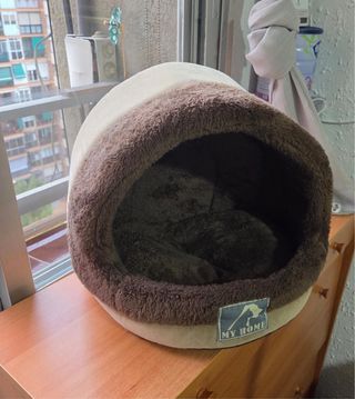 Camita para perros My Home