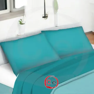 Lenzuola flanella 1 posto beige