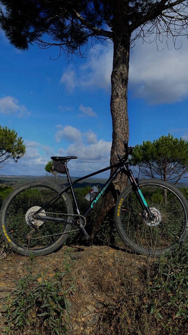 Bicicleta de Montaña MTB Negra
