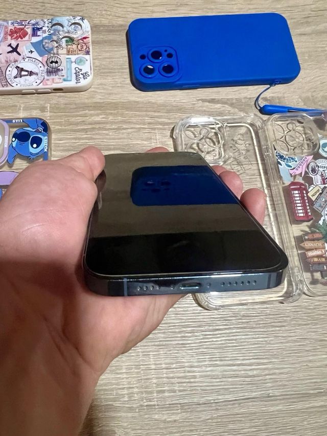 Fundas iPhone 13 Pro Max