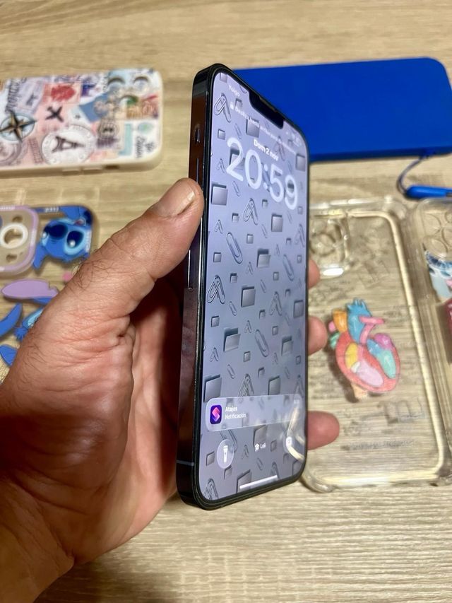 Fundas iPhone 13 Pro Max