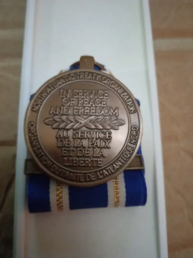 Medaglia militare NATO Articolo 5 Active Endeavour