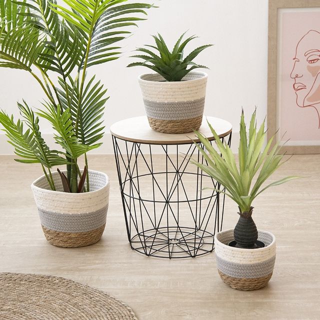 Ceste decorative (3 unità)