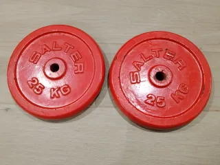 Salter 25 KG Pesas (2 unidades)