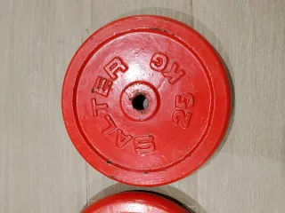 Salter 25 KG Pesas (2 unidades)