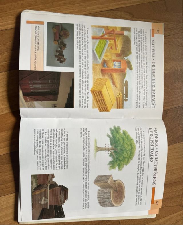 Livro construir ideias (E.V.T. 5.ano)