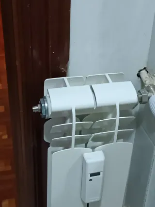 Elemento Radiador Ferroli Proteo 600 Blanco 7,5*57