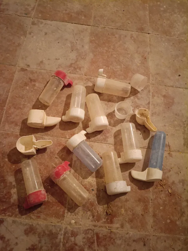 Bebederos para pájaros