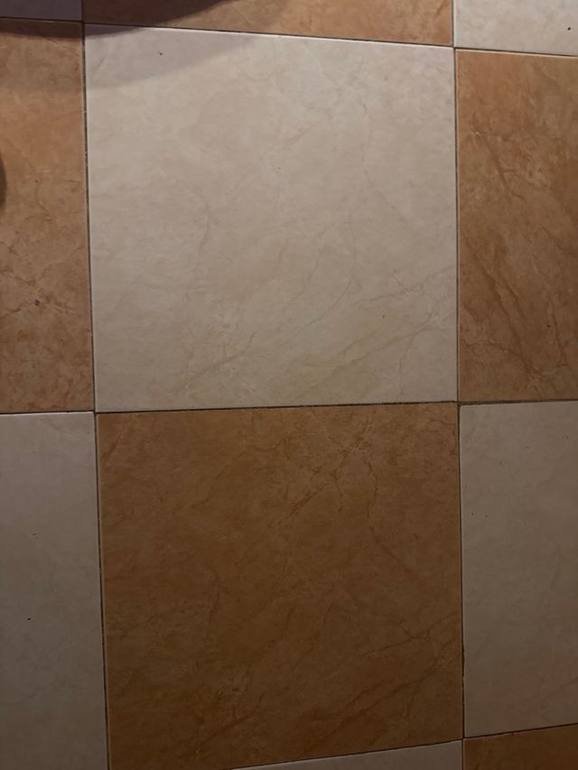 Suelo cerámico nuevo