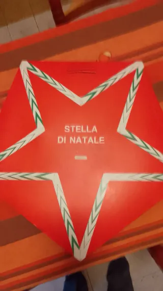 Stella di Natale luminosa