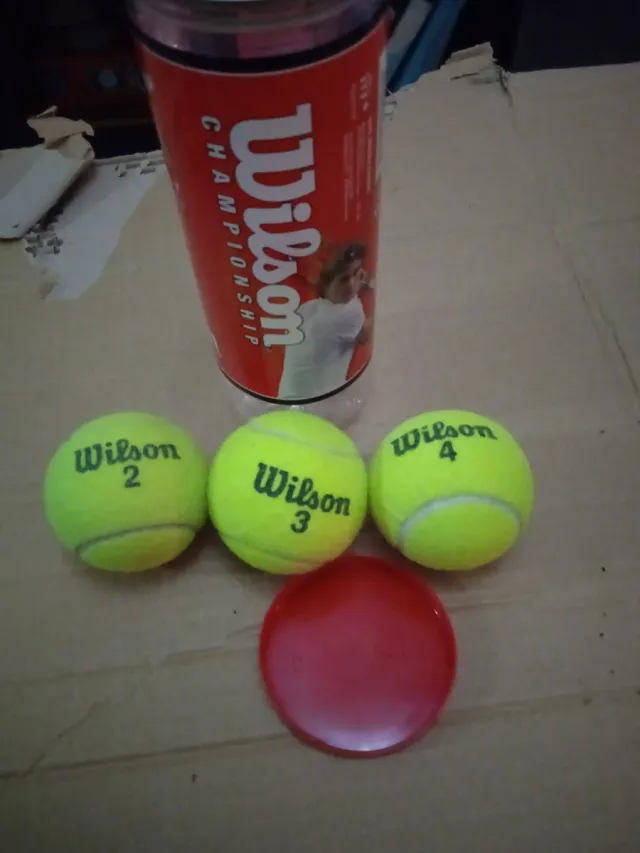 Palline da tennis Wilson Championship