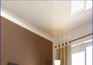 CONSTRUCCIÓN Y REFORMAS TECHO PVC