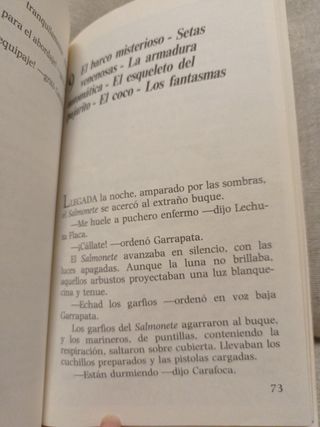 El Pirata Garrapata (Spanish Edition)