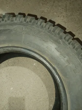 Neumático Mixto Nortenha