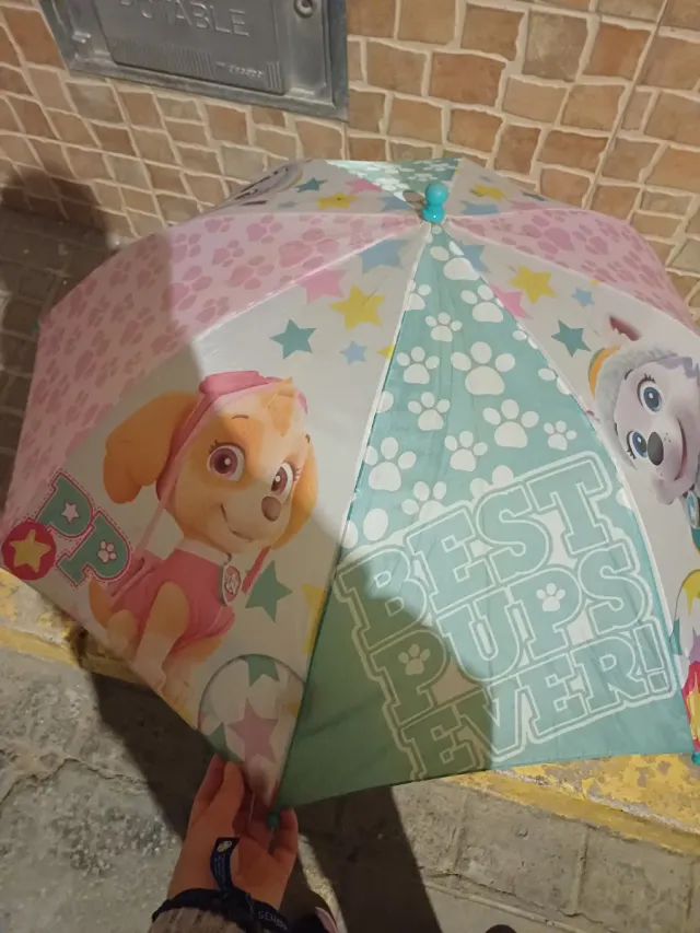 Paraguas Patrulla Canina Skye y Everest