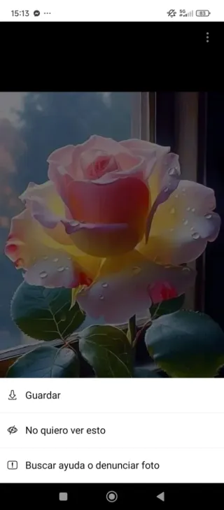 Alquiler de habitación