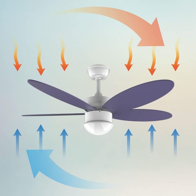 Ventilador de Teto com Luz Roxa/Branco Cetotec