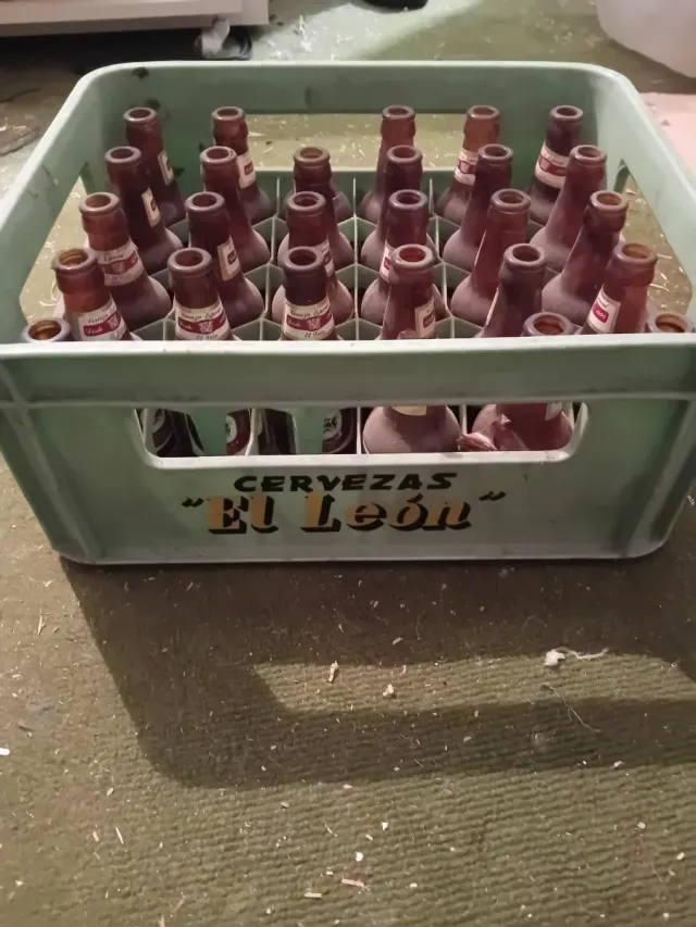 Caja Cervezas El León Donosti