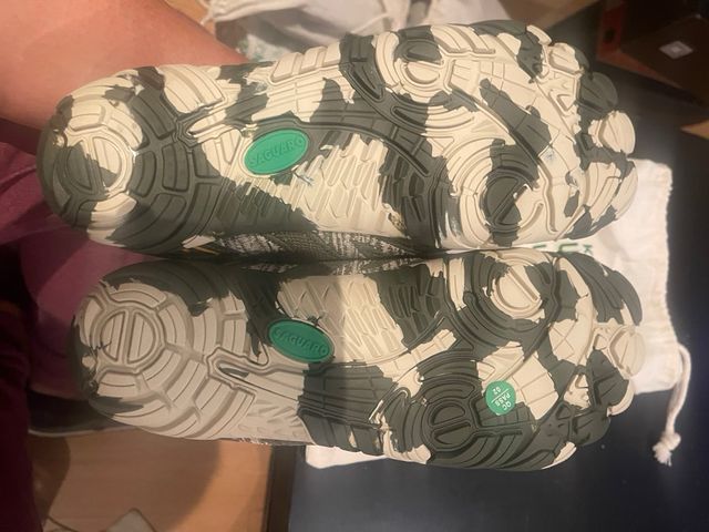 Saguaro Talla 41 Nuevas