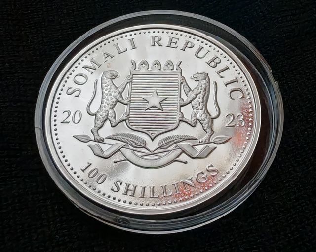 Moneda in argento 9999 African Wildlife Elephant da 1 oncia