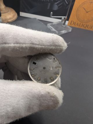 Esfera Rolex Datejust: inspiración tropical