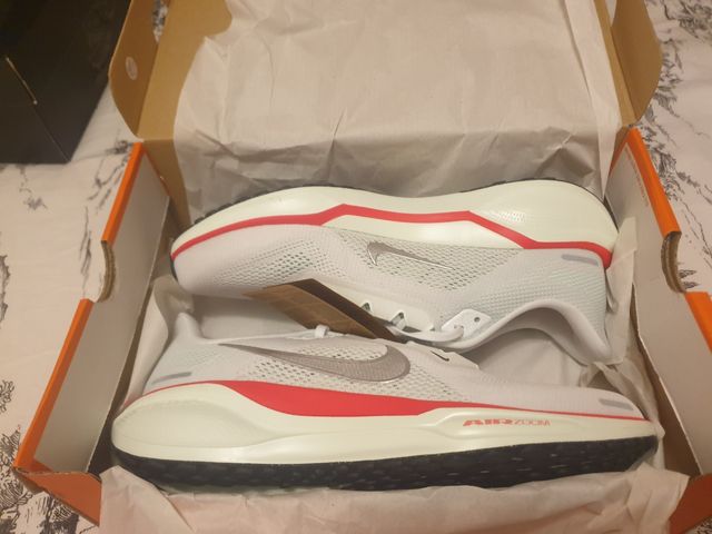 Nike Pegasus 41 Tamanho 44