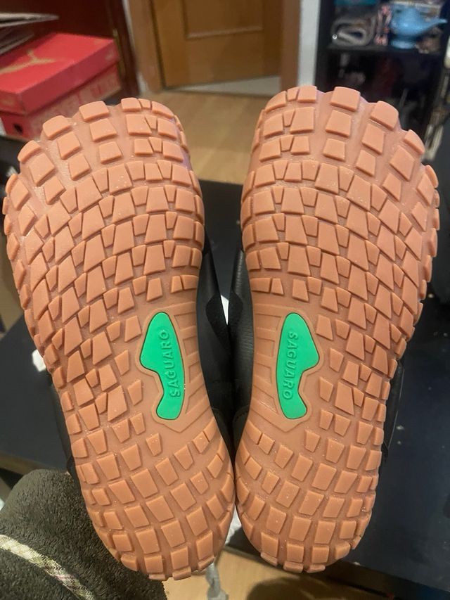 Saguaro Talla 40 Nuevas