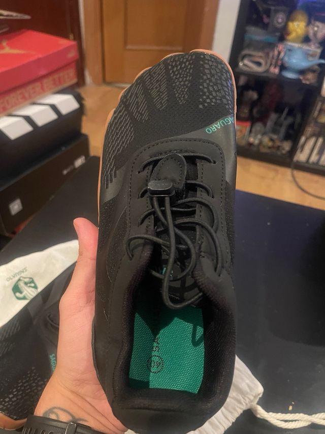 Saguaro Talla 40 Nuevas