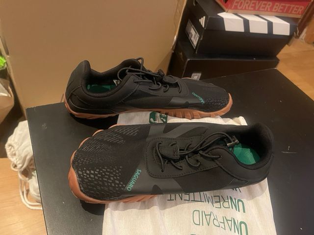 Saguaro Talla 40 Nuevas