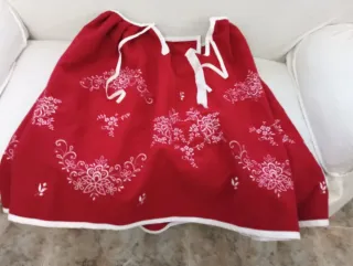 Falda regional roja bordada