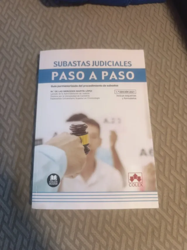 Subastas judiciales: Guía pormenorizada del pro...