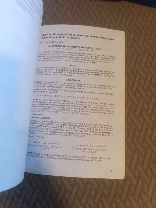 Subastas judiciales: Guía pormenorizada del pro...