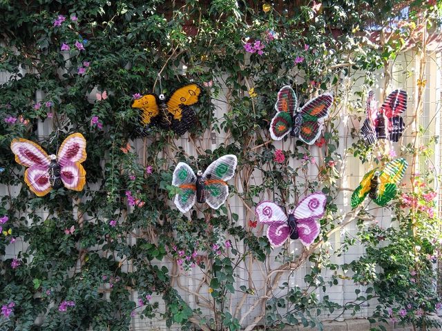 55 Mariposas Decoración Multicolor