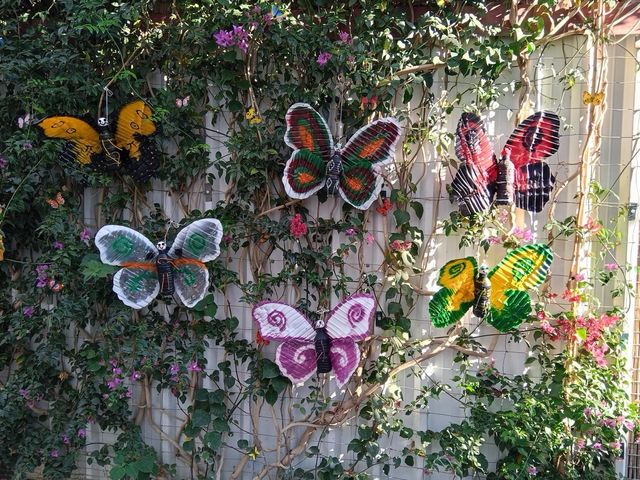 55 Mariposas Decoración Multicolor