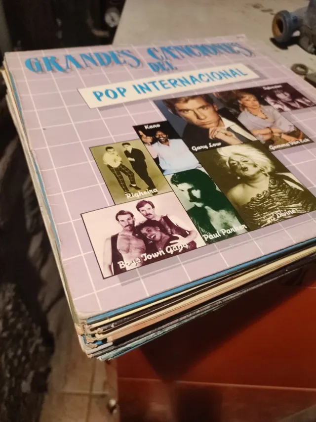 Lote 15 Vinilos discos variados 