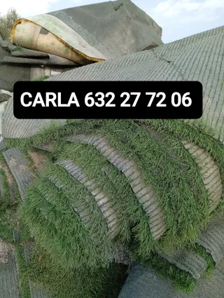 Venta de césped artificial