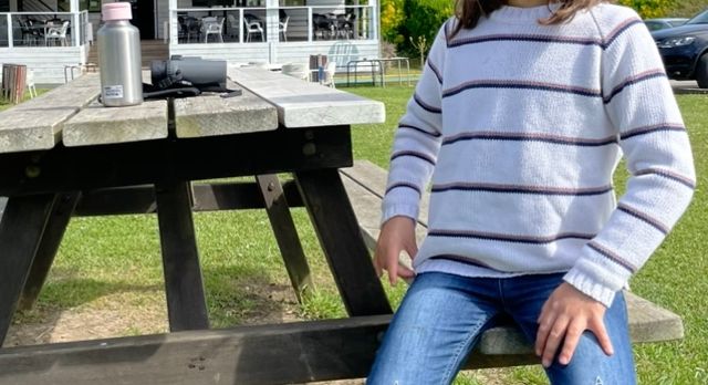 2 Jerseys de algodón Nicoli