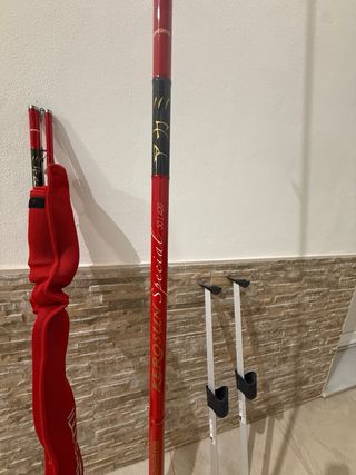 Cañas de pescar surfcasting 