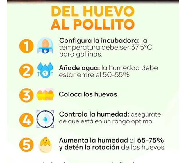 Incubadora Automática Huevos hasta 24