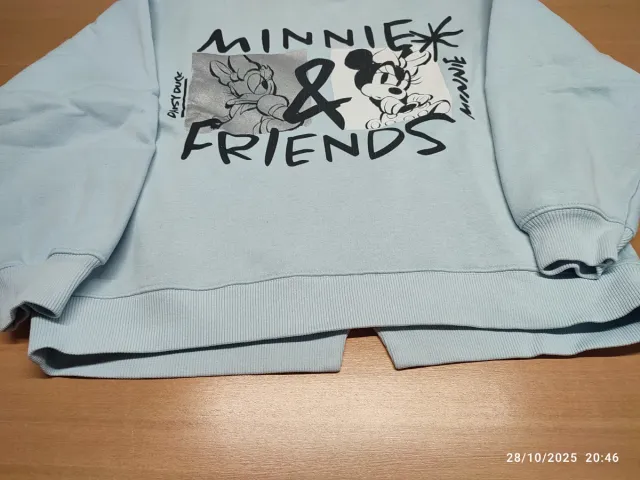 Sudadera Zara Disney Minnie y Daisy