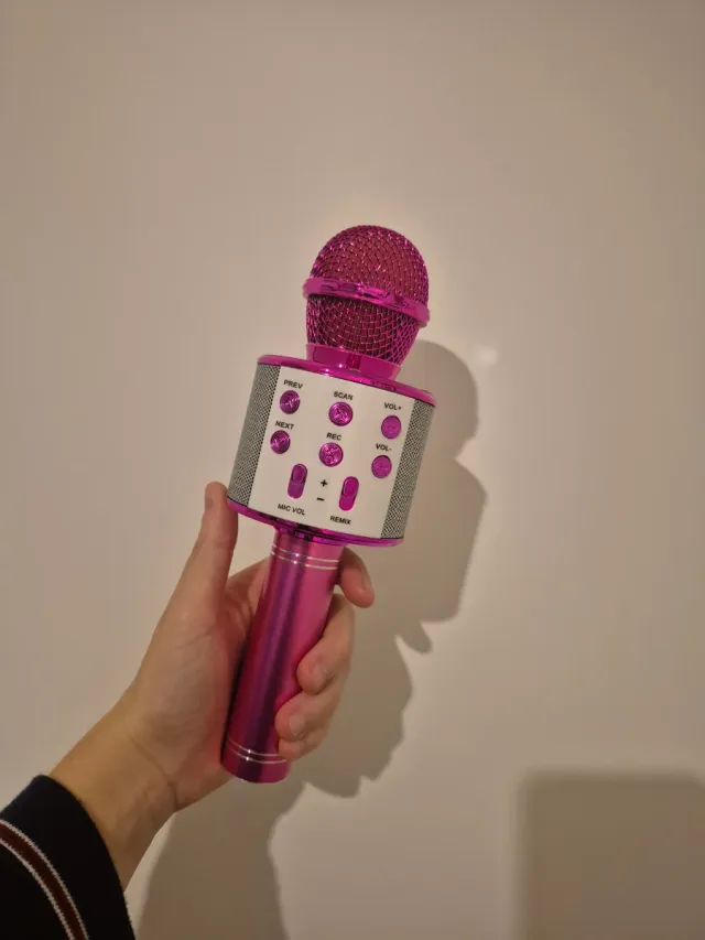 Micrófono Karaoke Rosa