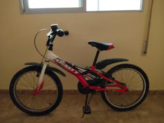 Bicicleta infantil roja y blanca