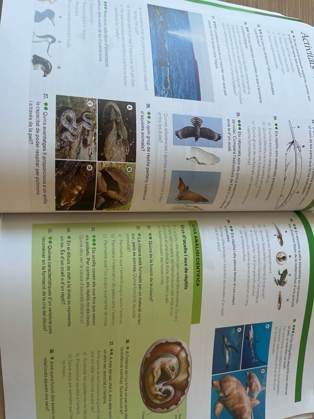 Ciències de la naturaleza 1 ESO Volum2