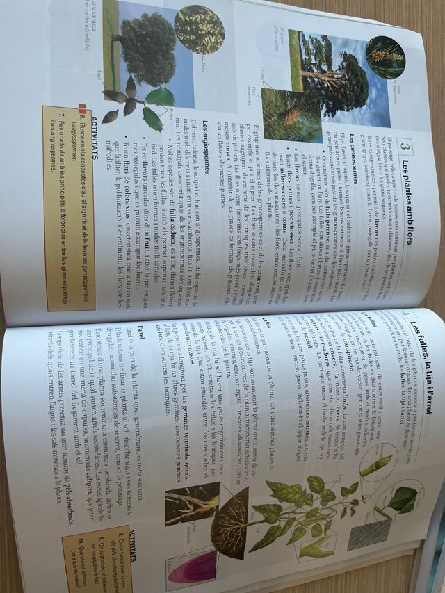 Ciències de la naturaleza 1 ESO Volum2