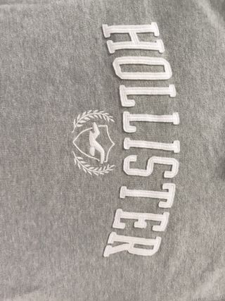 Sudadera Hollister Gris