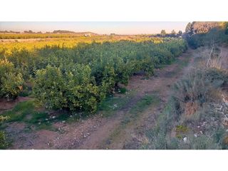 Terreno en venta en Centro en Chiva