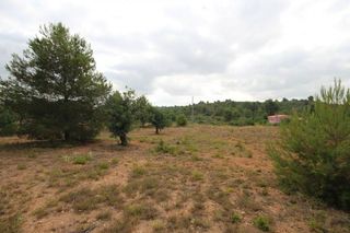 Terreno en venta en Turís