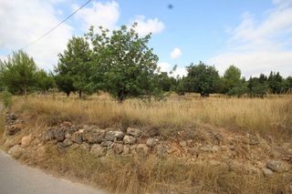 Terreno en venta en Turís