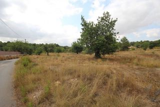 Terreno en venta en Turís