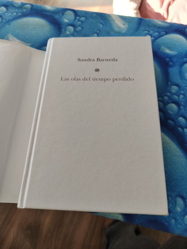 Las olas del tiempo perdido